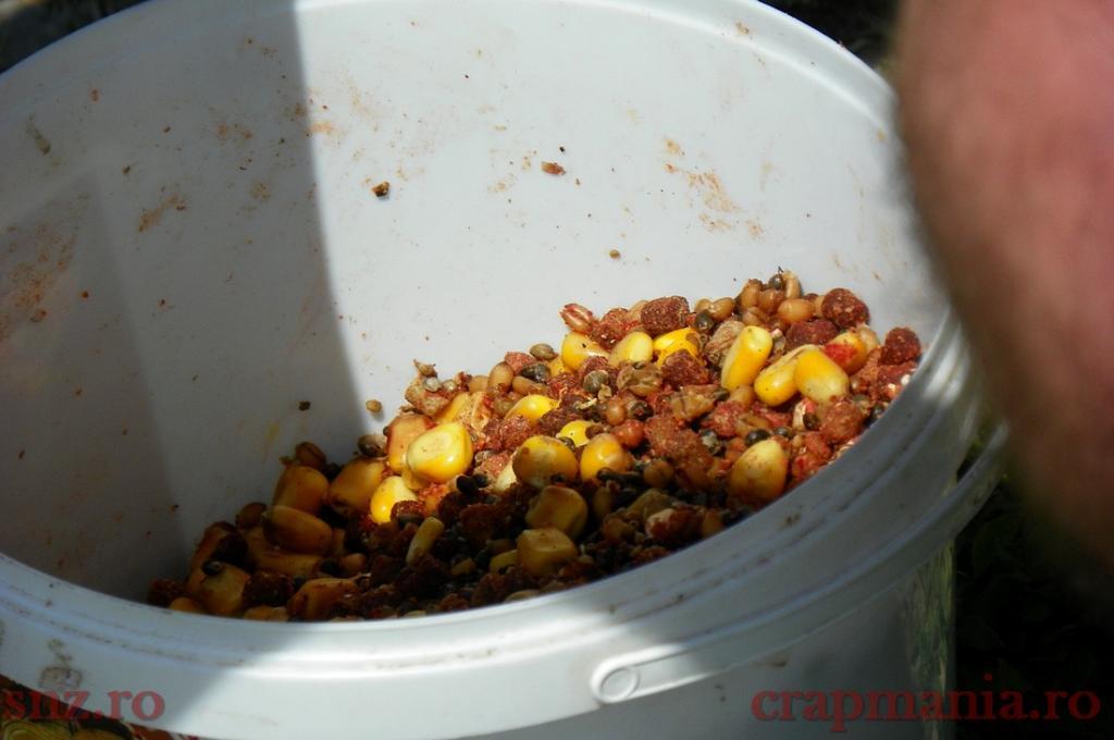 Concurs Party Cup - Sulimanu - 1010431.jpg